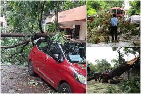 चक्रीवादळाचा पुण्याला तडाखा, सोसाट्याच्या वाऱ्यासह पाऊस, झाडांचीही पडझड