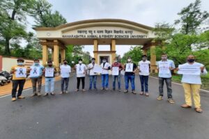 मेनका गांधींनी एका पशुवैद्यकाला केली शिवीगाळ, महाराष्ट्रातील पशुवैद्यकांनी केला निषेध