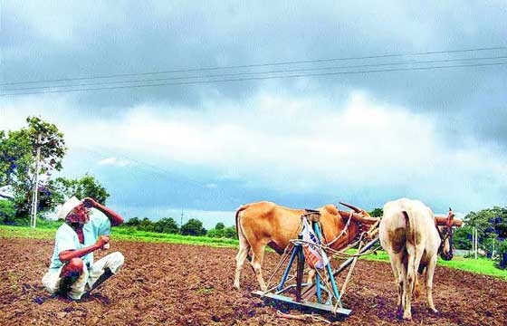 अकोला जिल्ह्यात ७० हजार शेतकर्‍यांचे कर्ज प्रस्ताव प्रलंबित