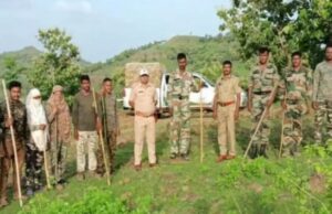 बुलढाण्यात वनकर्मचारी आणि मेंढपाळांत तुफान हाणामारी, वनाधिकाऱ्यांनी केला हवेत गोळीबार