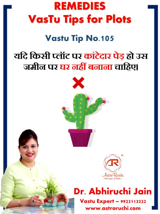 Vastu tips