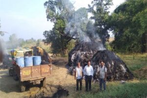 भंडाऱ्यात ३३ एकरातील धान पुंजण्यांना अज्ञाताने लावलेल्या आगीत ९ लाखांचे नुकसान