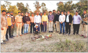 भंडाऱ्यातील वाघ शिकार प्रकरणी एका शिकाऱ्याला अटक