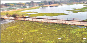 गोसेखुर्द धरणाच्या बॅकवॉटरमुळे प्रचंड नुकसानीची भीती