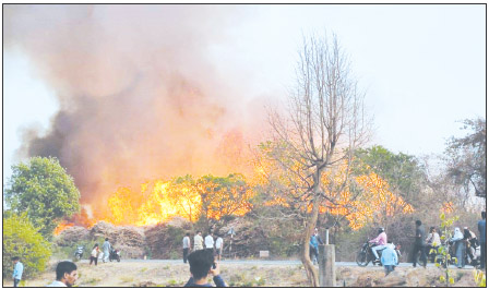 गोरेवाडा संरक्षित जंगलाला लागली आग, १५० हेक्टरवर जंगलाचे नुकसान